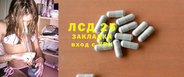 прущие грибы Арсеньев