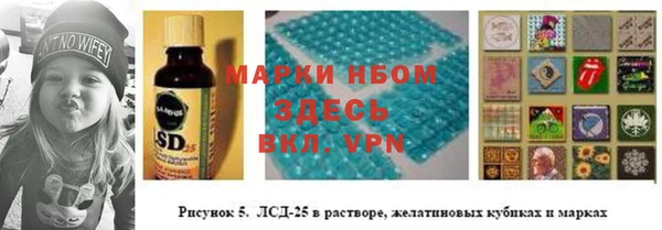эйфоретик Аркадак