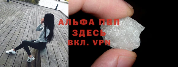 прущие грибы Арсеньев