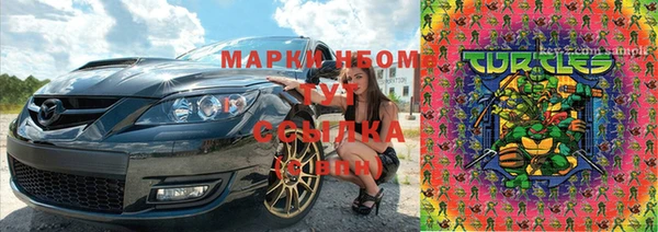 эйфоретик Аркадак